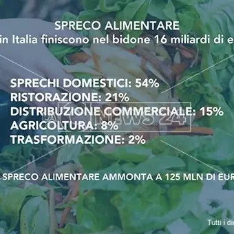 Spreco alimentare e povertà, due facce della stessa crisi