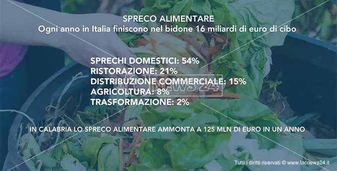 Spreco alimentare e povertà, due facce della stessa crisi