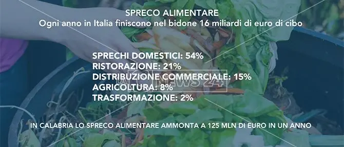 Spreco alimentare e povertà, due facce della stessa crisi