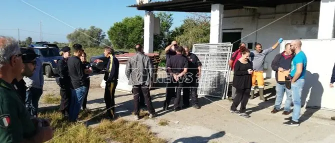 Cani morti e pessime condizioni igienico-sanitarie, blitz al canile di Gioia