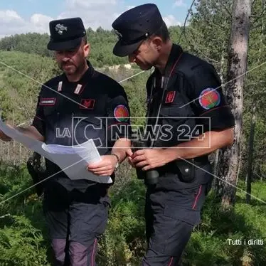 Carte false per ottenere finanziamenti Ue, tre denunce nel Cosentino