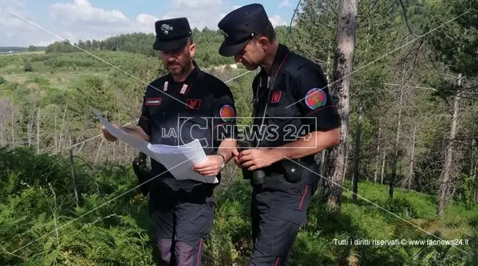 Carte false per ottenere finanziamenti Ue, tre denunce nel Cosentino