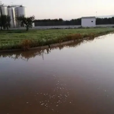 Sabotano i silos di due cantine, 40mila ettolitri di vino finiscono nelle campagne