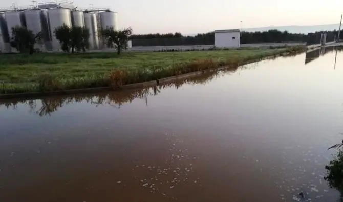 Sabotano i silos di due cantine, 40mila ettolitri di vino finiscono nelle campagne