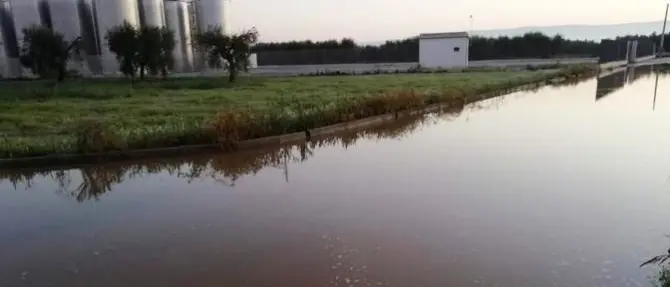 Sabotano i silos di due cantine, 40mila ettolitri di vino finiscono nelle campagne