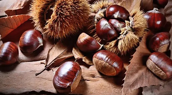 Cotronei, al via la sagra della Castagna: grande festa tra musica e degustazioni