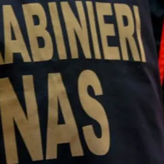 Falsi corsi per Operatori socio sanitari, sei arresti a Castrovillari