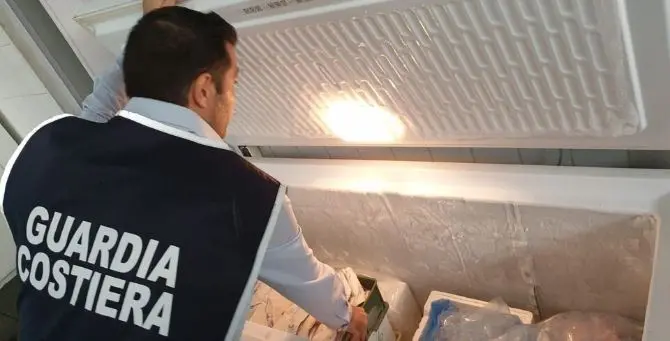 Lamezia, la Guardia costiera sequestra 35 chili di prodotti ittici