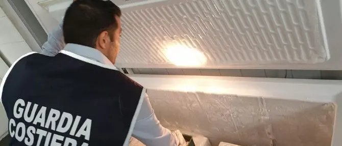 Lamezia, la Guardia costiera sequestra 35 chili di prodotti ittici