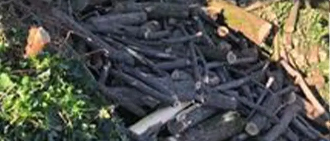 Beccato a rubare legna in una proprietà privata, arrestato