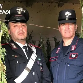 Laboratorio artigianale di marijuana, arrestati padre e figlio a Bonifati