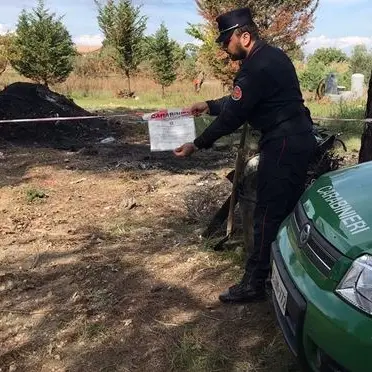 Combustione illecita di rifiuti, quattro persone denunciate a Montalto