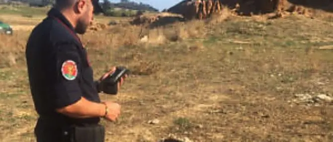 Carcasse di pecore abbandonate in un terreno, denunciata allevatrice crotonese