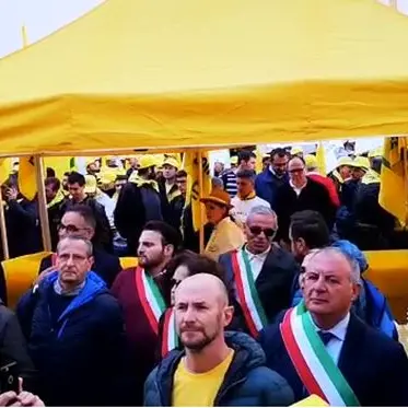 Sos cinghiali, in protesta a Roma anche gli agricoltori calabresi: «Servono più tutele»