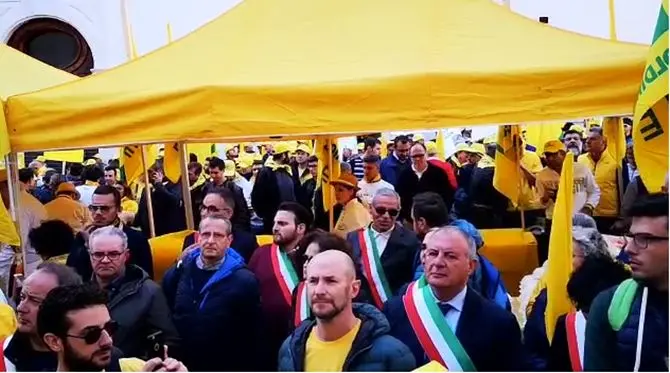 Sos cinghiali, in protesta a Roma anche gli agricoltori calabresi: «Servono più tutele»