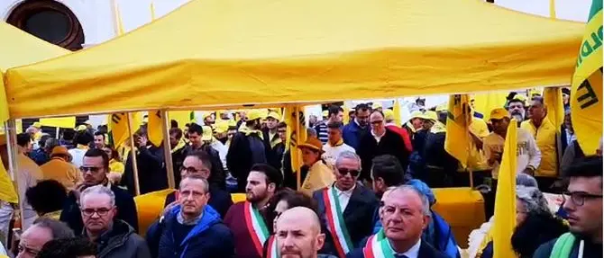 Sos cinghiali, in protesta a Roma anche gli agricoltori calabresi: «Servono più tutele»