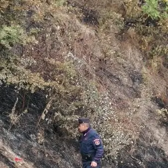 Dà fuoco ad un bosco nel parco del Pollino ma viene ripreso dalle telecamere, denunciato