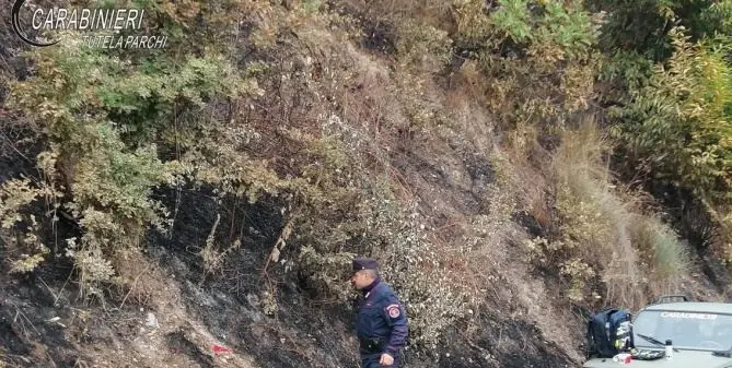 Dà fuoco ad un bosco nel parco del Pollino ma viene ripreso dalle telecamere, denunciato