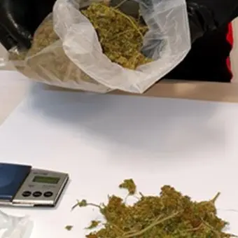 Nascondeva la droga sul balcone, arrestato un 31enne di Lamezia