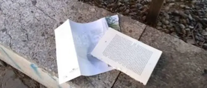 La cultura vandalizzata, a Reggio strappati i libri della bacheca “stradale”