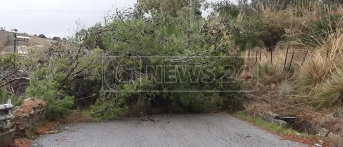Raffiche di vento, forti piogge e mareggiate. Il maltempo sferza la Calabria: danni e disagi