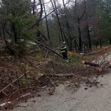 Calabria nella morsa del maltempo: ancora burrasche ma domani allerta gialla