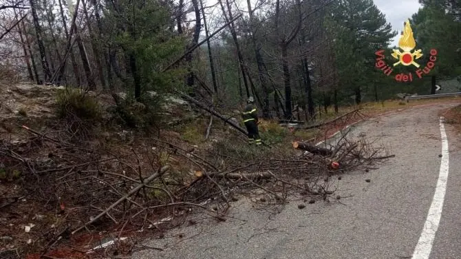 Calabria nella morsa del maltempo: ancora burrasche ma domani allerta gialla