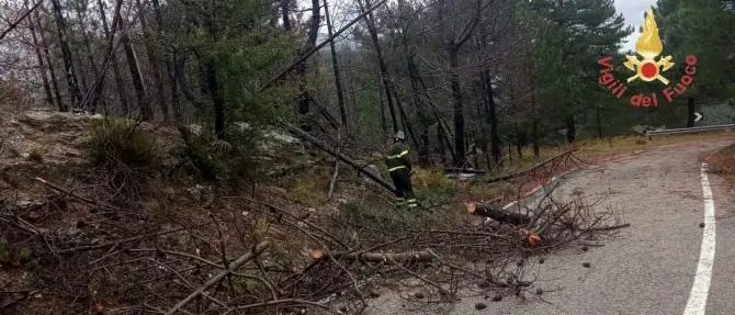 Calabria nella morsa del maltempo: ancora burrasche ma domani allerta gialla