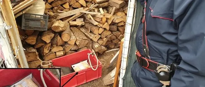 Due ordigni artigianali rinvenuti in una legnaia a Nocera Terinese