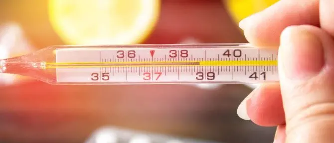 Influenza: in quattro settimane a letto 341mila italiani