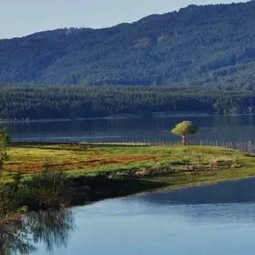 Le telecamere di Geo&Geo nel Parco delle Sila, casa di specie rarissime