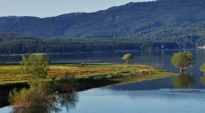 Le telecamere di Geo&Geo nel Parco delle Sila, casa di specie rarissime