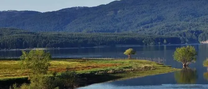 Le telecamere di Geo&Geo nel Parco delle Sila, casa di specie rarissime