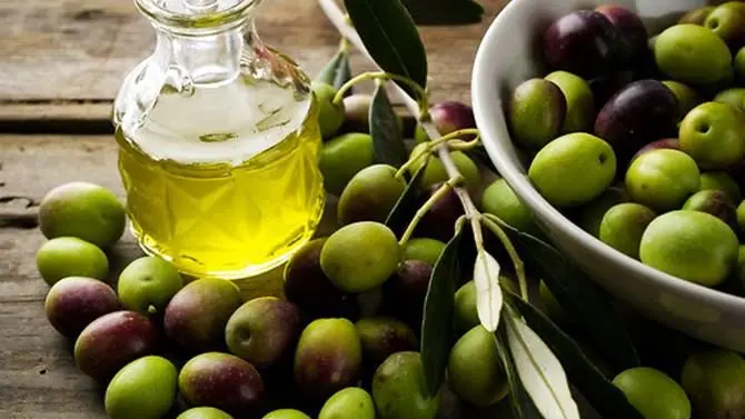 Olio: «In Calabria ottima annata ma si rischia ko per via di importazioni»