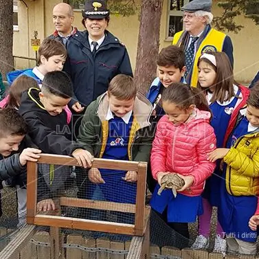 Tartarughe a scuola: il progetto dei carabinieri forestali incontra gli studenti