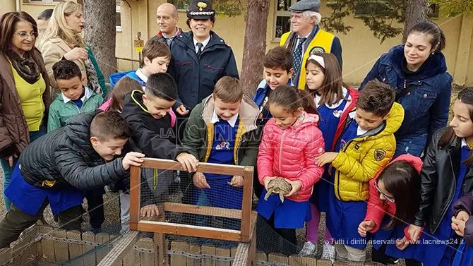 Tartarughe a scuola: il progetto dei carabinieri forestali incontra gli studenti