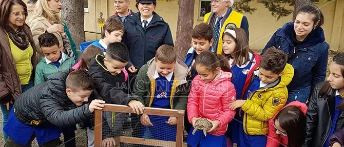 Tartarughe a scuola: il progetto dei carabinieri forestali incontra gli studenti