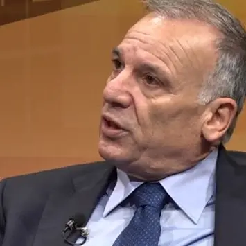 Regionali, Tallini attacca la Lega: «Invernizzi chi? Non può scegliere per la Calabria»