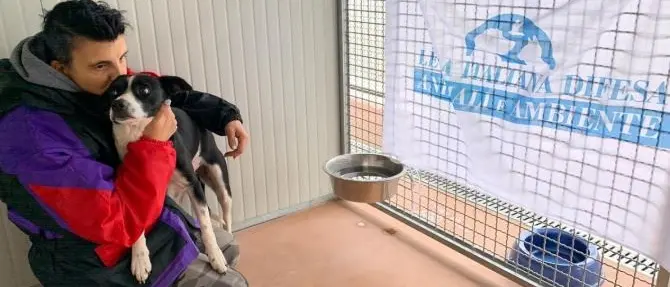 Salvata dal canile lager, Perla giunge a Monza in cerca di una famiglia