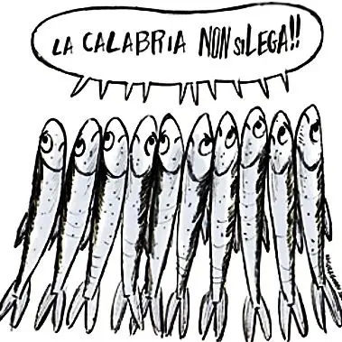 Le Sardine pronte a invadere Cosenza: «No a Salvini, la Calabria non si Lega»