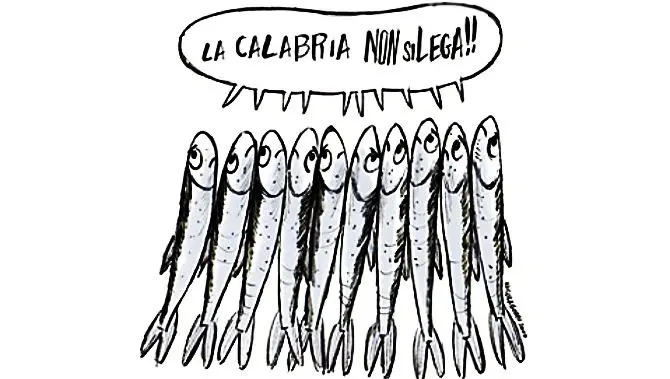 Le Sardine pronte a invadere Cosenza: «No a Salvini, la Calabria non si Lega»