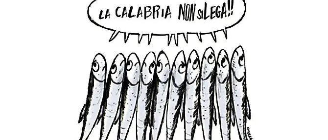 Le Sardine pronte a invadere Cosenza: «No a Salvini, la Calabria non si Lega»