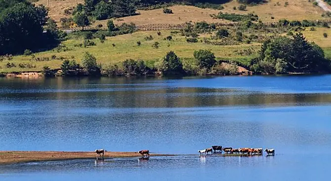 Turismo green, la Sila nella classifica dei parchi nazionali più belli d’Italia