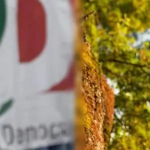 Il Pd attacca la candidatura 5s di Aiello. «Così consegnate la Calabria ai sovranisti»