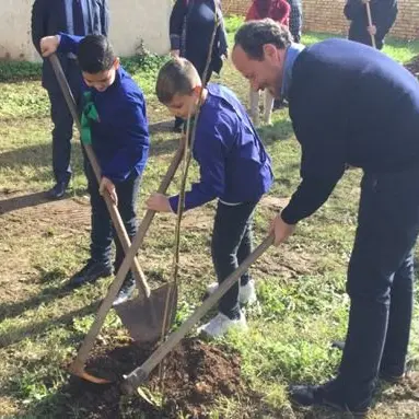 Laureana celebra la Festa dell’albero in ricordo del piccolo Giovanni