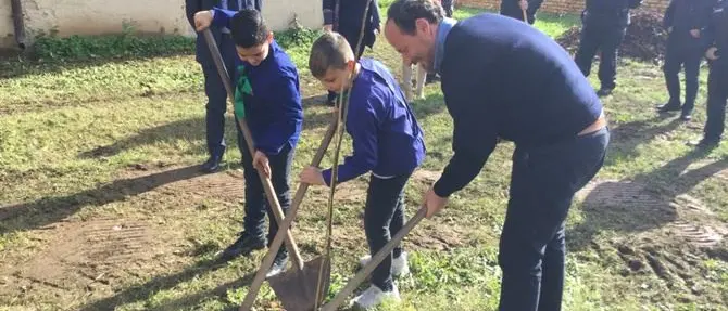 Laureana celebra la Festa dell’albero in ricordo del piccolo Giovanni
