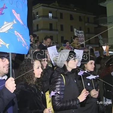 La carica delle Sardine a Cosenza per l'esordio in Calabria: «In piazza perché stufi»