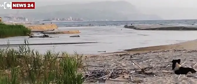 Una riserva naturale alla foce del fiume Mesima, la proposta di legge del WWf