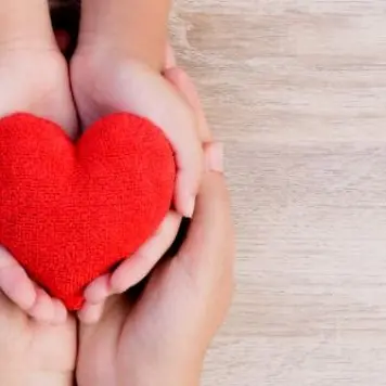 Donazioni di organi, l'ospedale Pugliese cuore d'oro: è al primo posto in Calabria