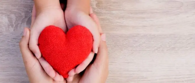 Donazioni di organi, l'ospedale Pugliese cuore d'oro: è al primo posto in Calabria